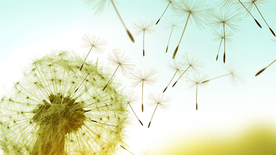 Offsetting Volatility Via Alternative Investments